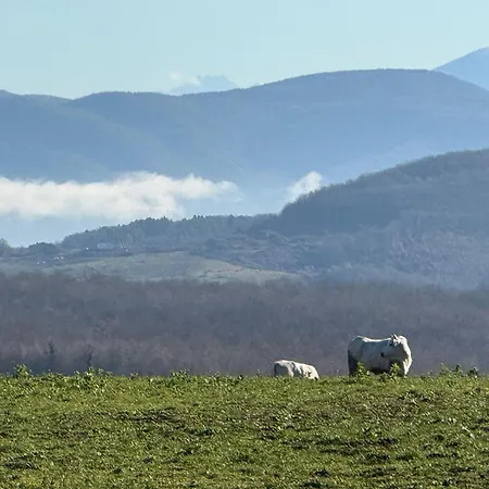 Abbazia San Pietro In Valle *