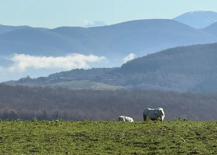 Abbazia San Pietro In Valle *